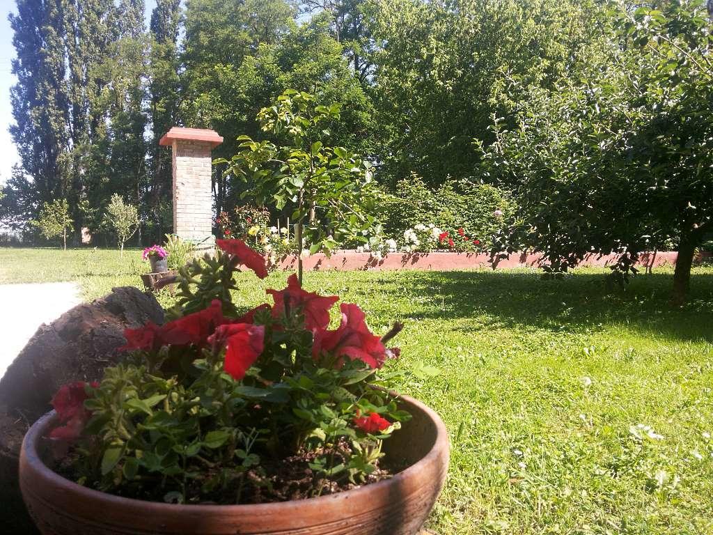 Alloggio Agrituristico Dodici-Apostoli Casumaro Eksteriør bilde